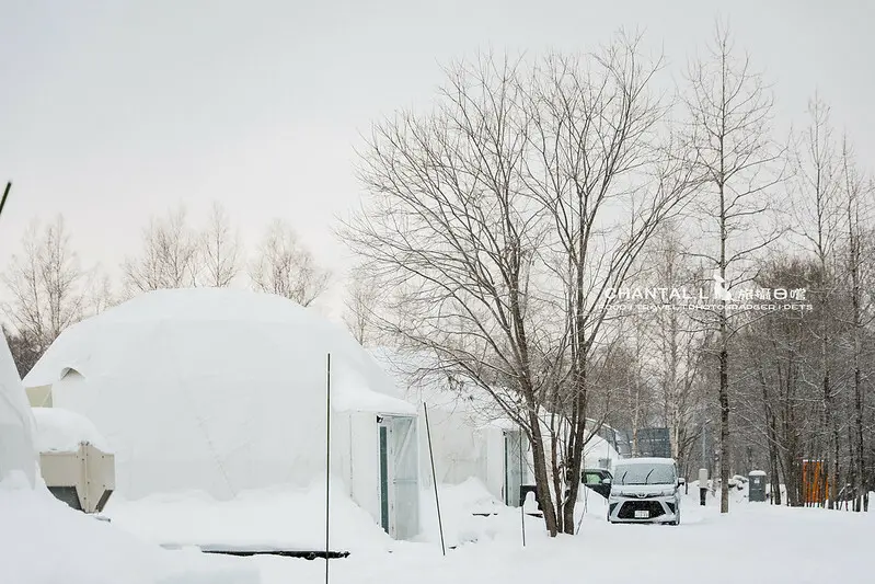 1J6A0853-2拷貝 拷貝