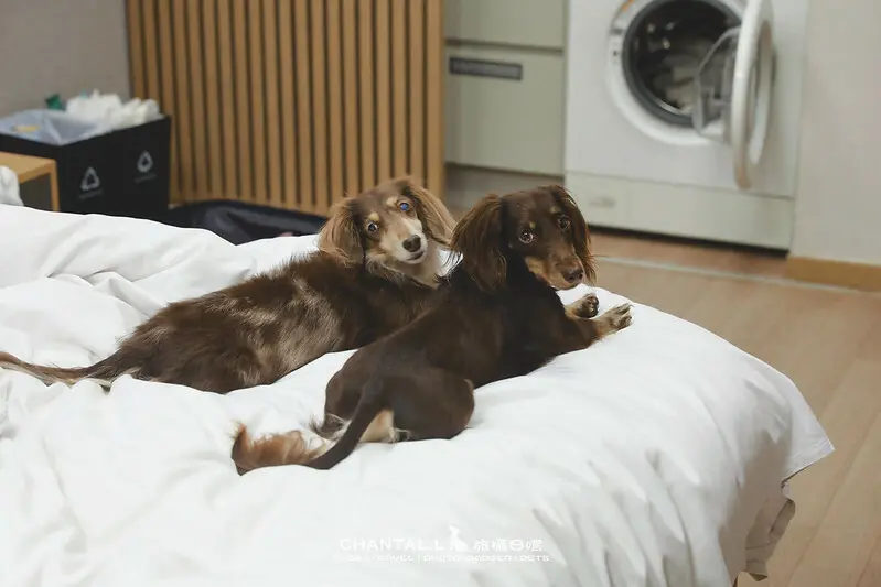 1J6A7651-2拷貝 拷貝