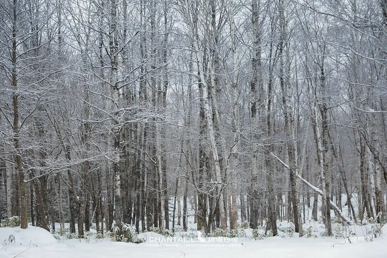 1J6A0847-2拷貝 拷貝