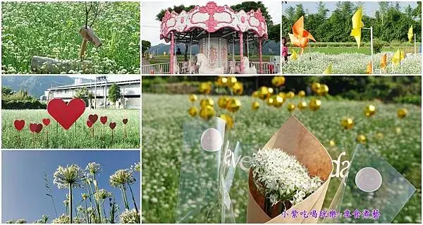 2024大溪韭菜花季-首圖.jpg