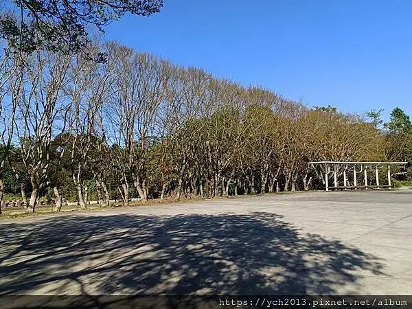 桃園龜山景點／龜山苗圃綠環境生態園區