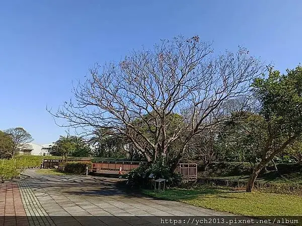 桃園龜山景點／龜山苗圃綠環境生態園區