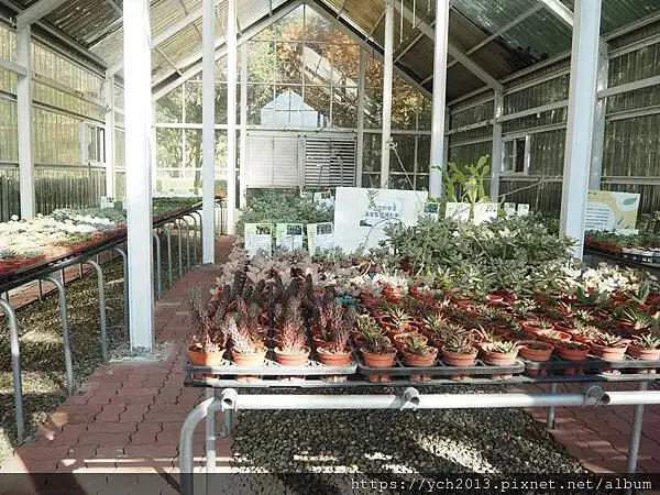 桃園龜山景點／龜山苗圃綠環境生態園區