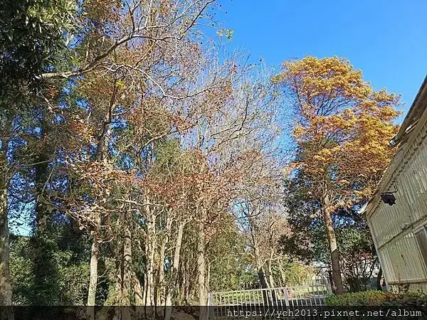 桃園龜山景點／龜山苗圃綠環境生態園區