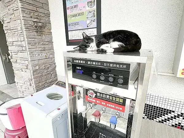 闔家泡湯推薦│羅浮溫泉-北橫美人湯：小烏來風景區露天ＳＰＡ，碳酸氫鈉泉大眾湯池