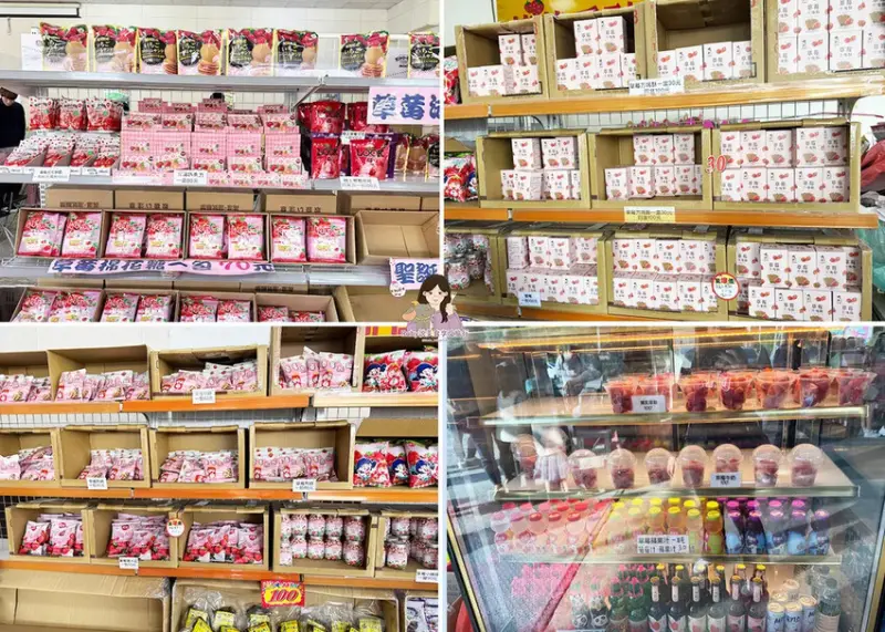 【苗栗景點】六合高架牛奶草莓農場-站著就可以採草莓，無須門票