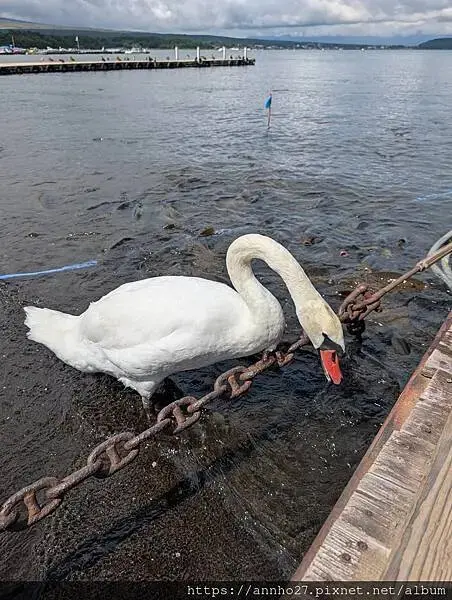 富士五湖深度旅遊D3