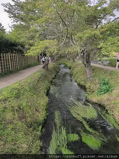 富士五湖深度旅遊D3