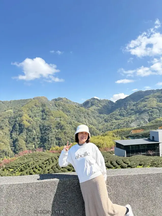 中部最美櫻花隧道【八卦茶園】青山藍天、茶園粉櫻一次盡收，迴音