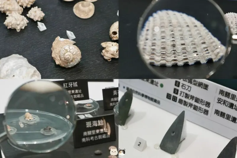 臺中免門票特展｜發現第一人－臺中站．從玩樂中學習考古工序與知