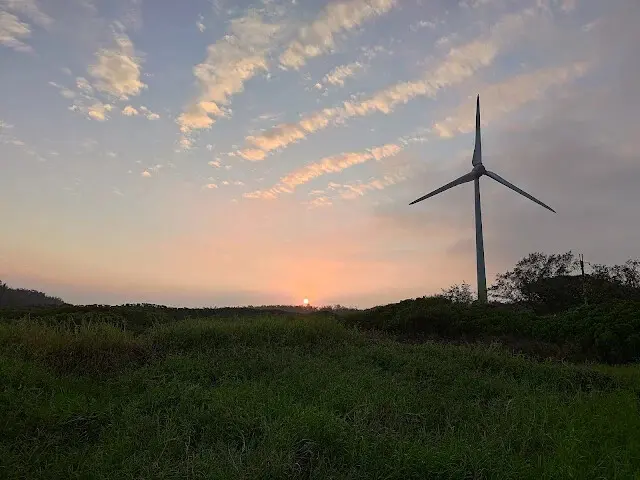 桃園觀新藻礁生態系野生動物保護區
