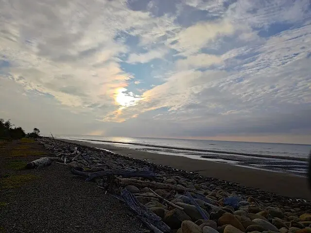 桃園觀新藻礁生態系野生動物保護區