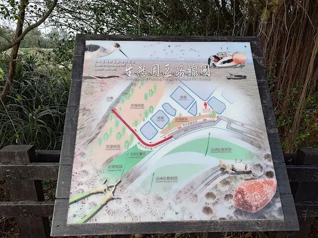 桃園觀新藻礁生態系野生動物保護區