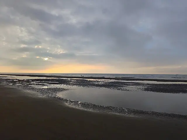 桃園觀新藻礁生態系野生動物保護區