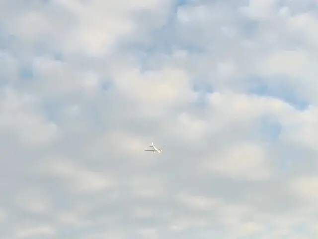 桃園觀新藻礁生態系野生動物保護區