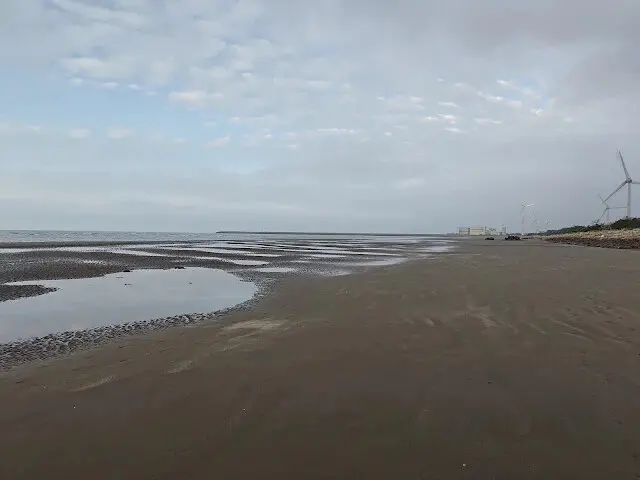 桃園觀新藻礁生態系野生動物保護區