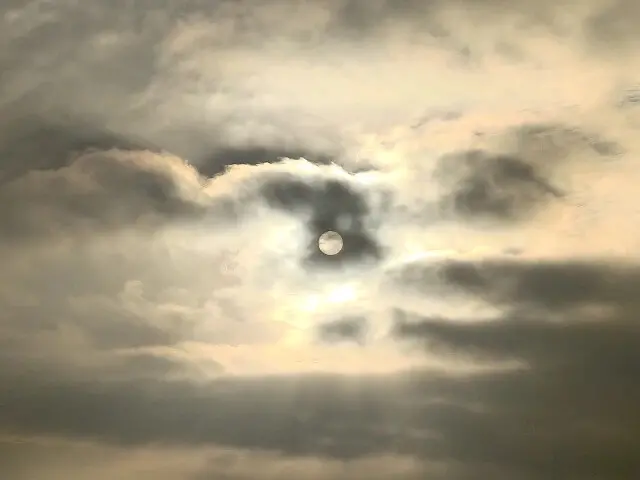 桃園觀新藻礁生態系野生動物保護區