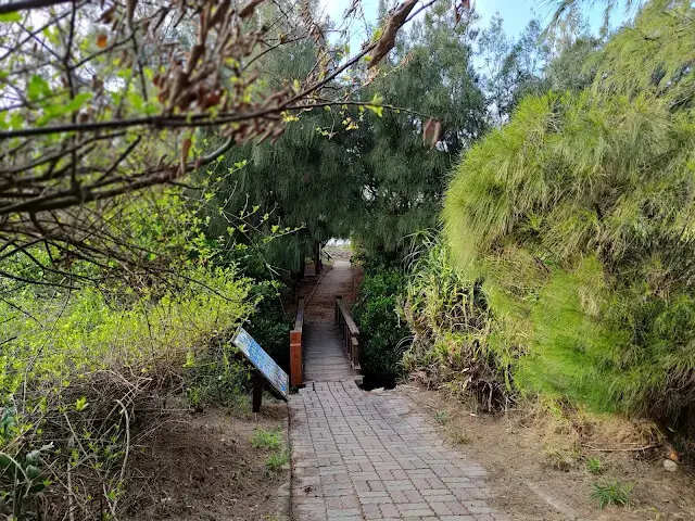 桃園觀新藻礁生態系野生動物保護區