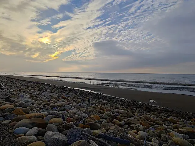桃園觀新藻礁生態系野生動物保護區