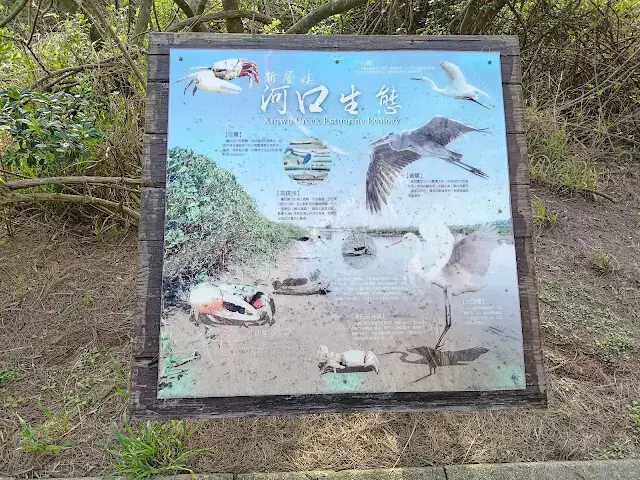 桃園觀新藻礁生態系野生動物保護區