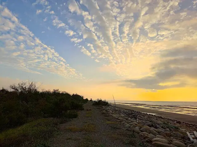 桃園觀新藻礁生態系野生動物保護區