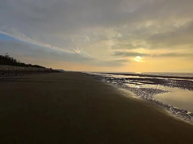 桃園觀新藻礁生態系野生動物保護區