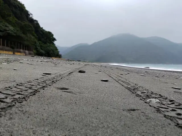 東澳灣 - 沙灘 - 「沙灘車」足跡