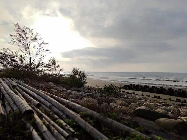 桃園觀新藻礁生態系野生動物保護區
