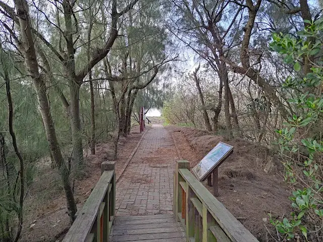 桃園觀新藻礁生態系野生動物保護區