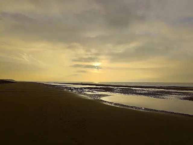 桃園觀新藻礁生態系野生動物保護區