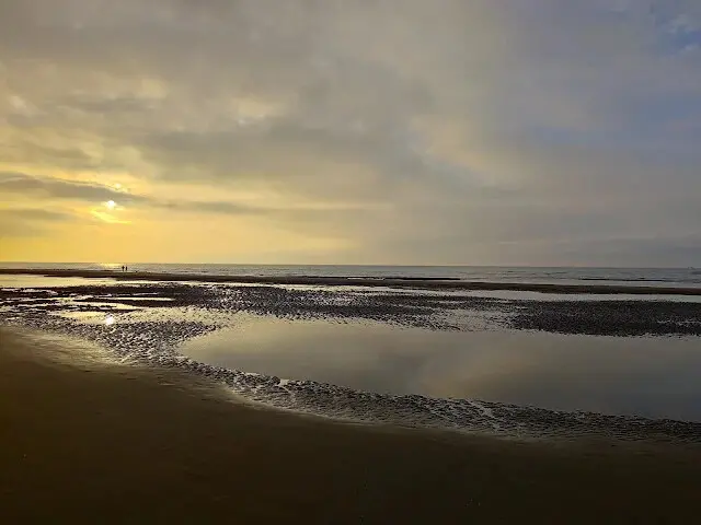 桃園觀新藻礁生態系野生動物保護區