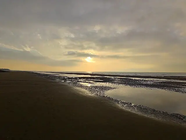 桃園觀新藻礁生態系野生動物保護區