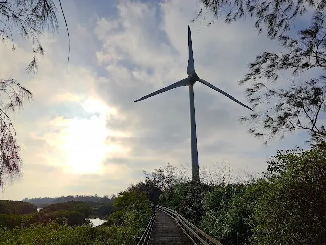 桃園觀新藻礁生態系野生動物保護區 - 風力發電機