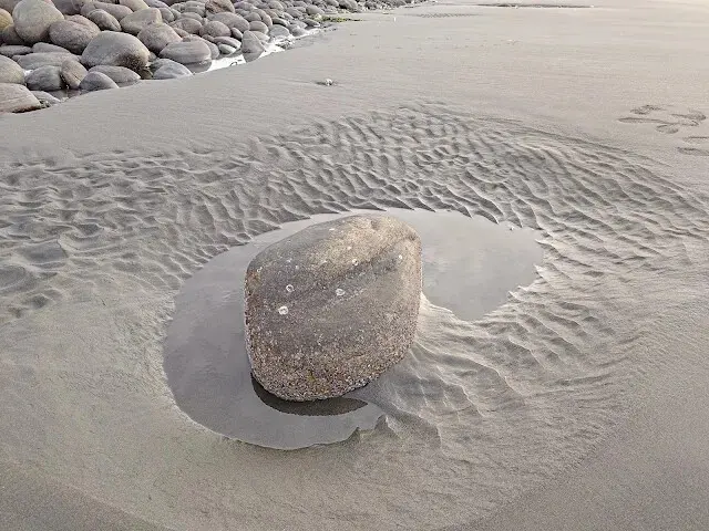 桃園觀新藻礁生態系野生動物保護區