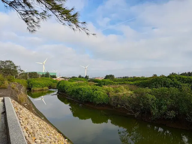 桃園觀新藻礁生態系野生動物保護區 - 風力發電機