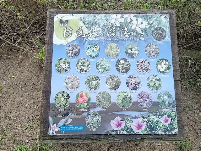 桃園觀新藻礁生態系野生動物保護區