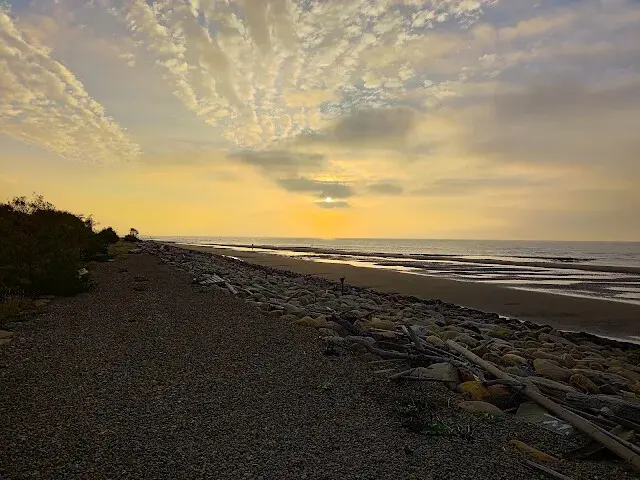 桃園觀新藻礁生態系野生動物保護區