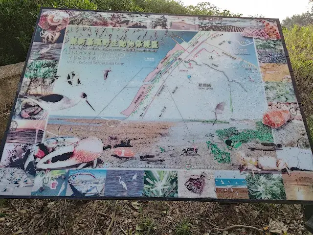 桃園觀新藻礁生態系野生動物保護區