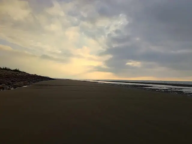 桃園觀新藻礁生態系野生動物保護區