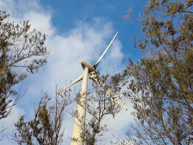 桃園觀新藻礁生態系野生動物保護區