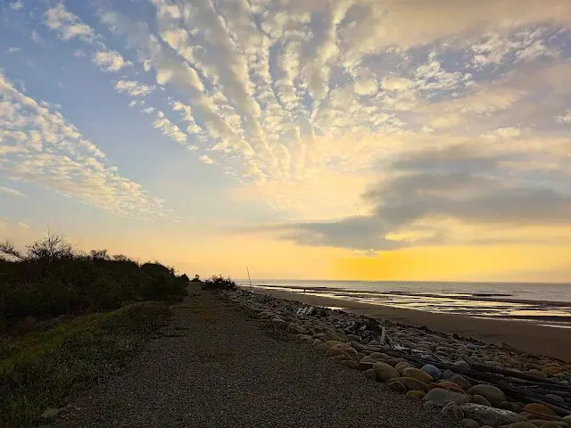 桃園觀新藻礁生態系野生動物保護區