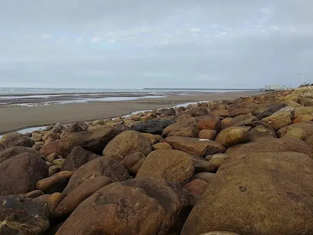 桃園觀新藻礁生態系野生動物保護區