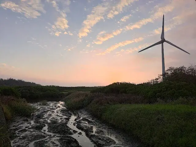 桃園觀新藻礁生態系野生動物保護區