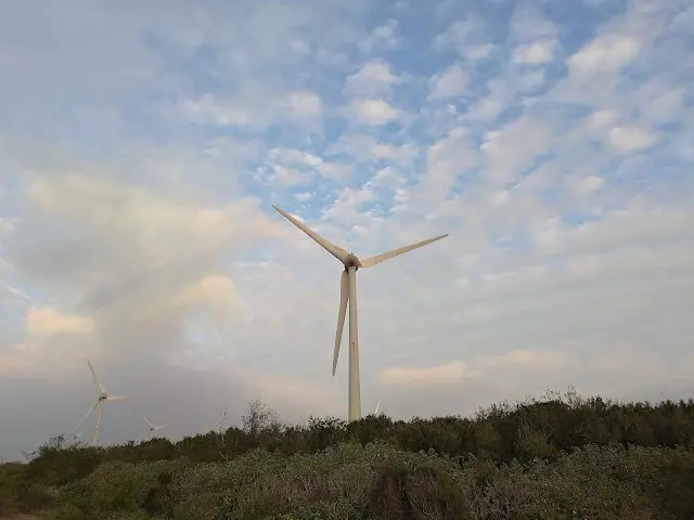 桃園觀新藻礁生態系野生動物保護區