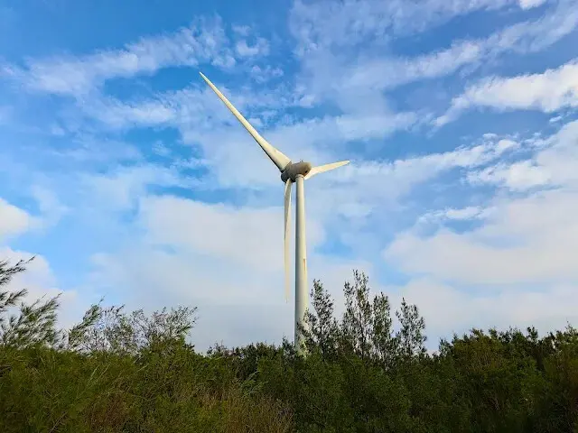桃園觀新藻礁生態系野生動物保護區