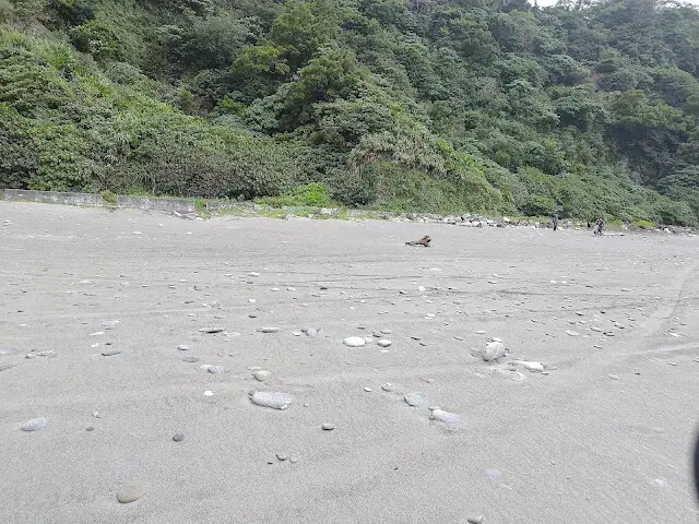 東澳灣 - 沙灘 - 漂流木