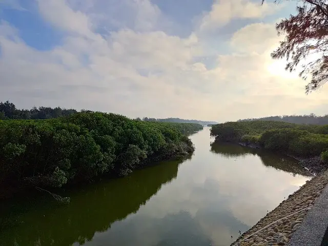 桃園觀新藻礁生態系野生動物保護區