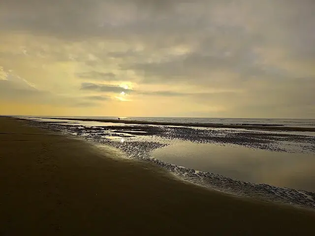 桃園觀新藻礁生態系野生動物保護區