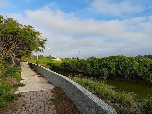 桃園觀新藻礁生態系野生動物保護區