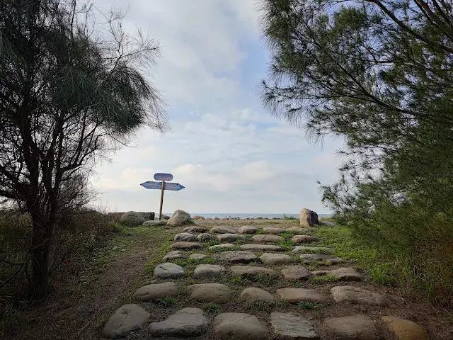 桃園觀新藻礁生態系野生動物保護區